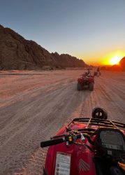 3d8a783a6d75e38f7354517004e579ed